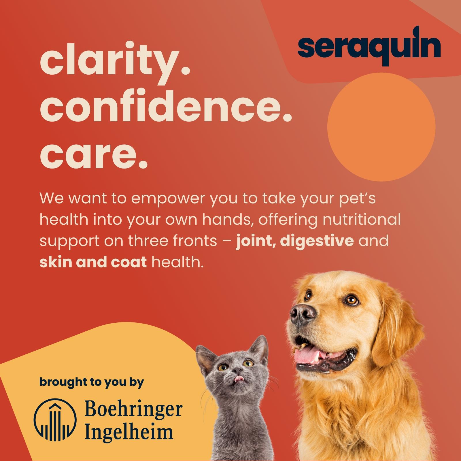 Seraquin Joint Supplement Chewable Tablets for Dogs 60 x 2g. Free delivery available at PetShop